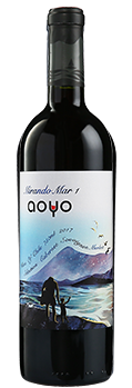 AOYO MIRANDO MAR CABERNET SAUVIGNON MERLOT RED WINE